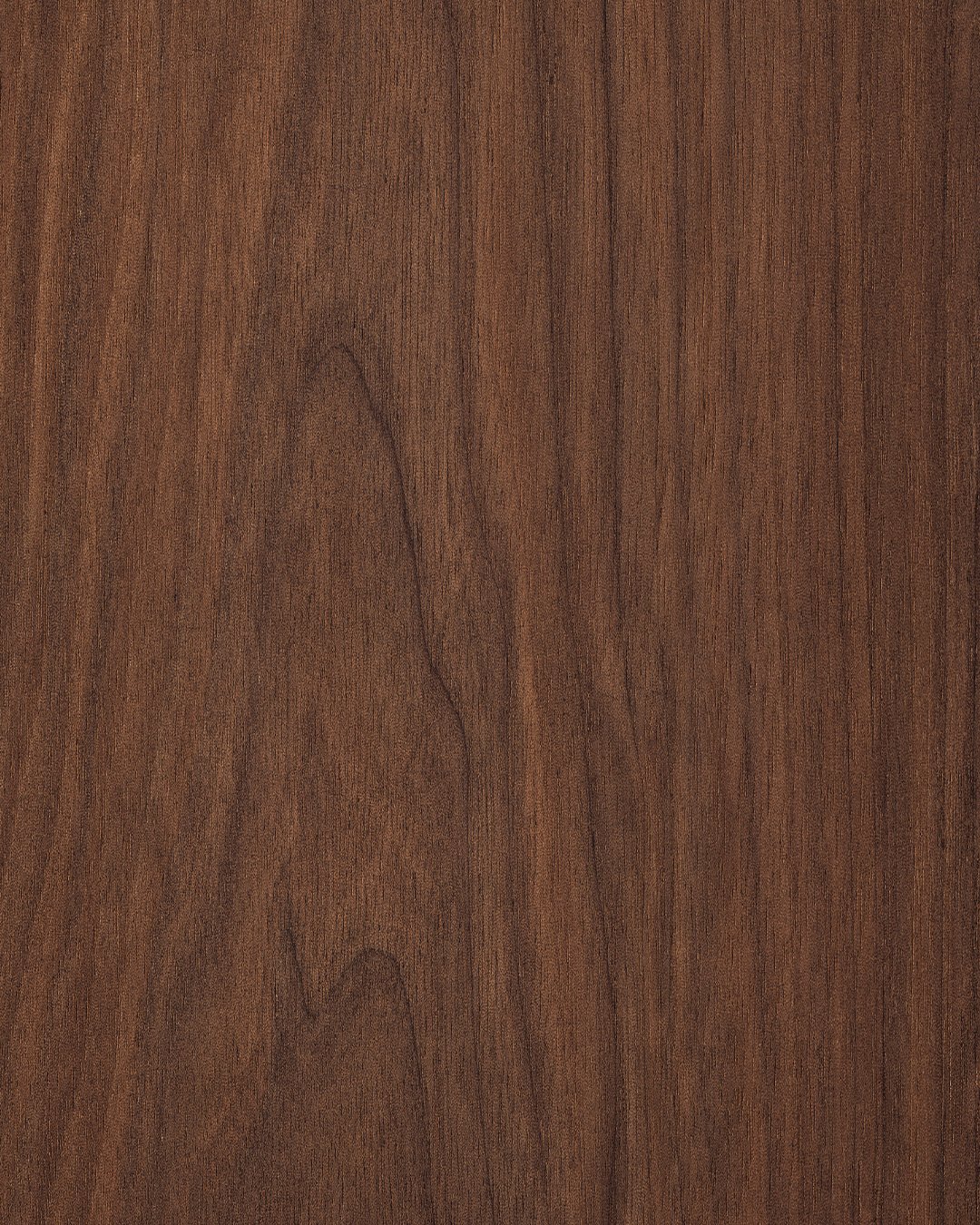 Walnut Wood Texture