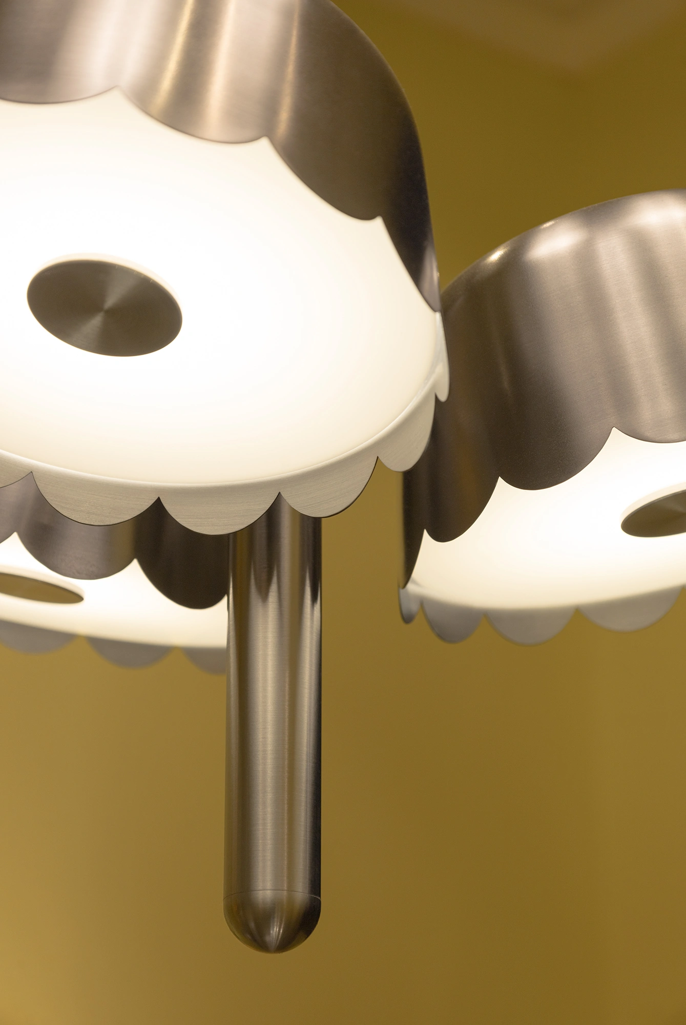 BUNAxAG-Originario-Bandido-20